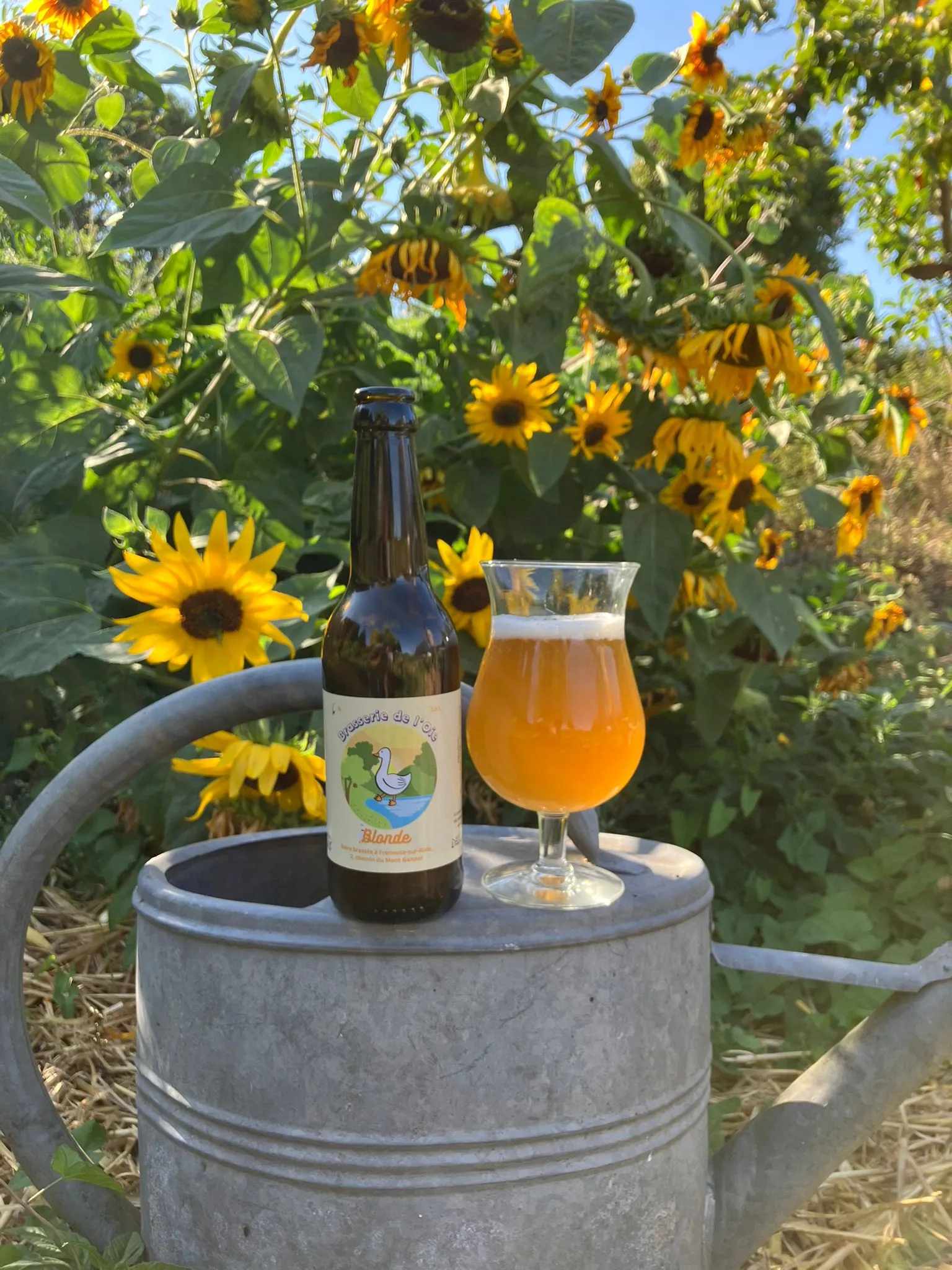 Bière blonde