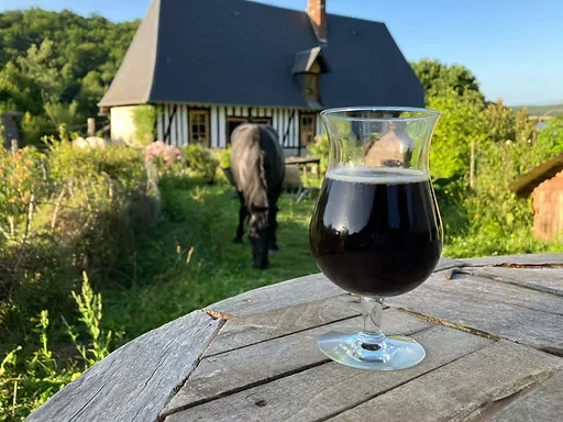 Bière brune